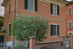 Foto (2)
