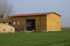 Foto (1)