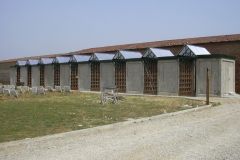 Foto (1)