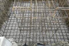 edf