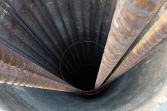 Pali-1